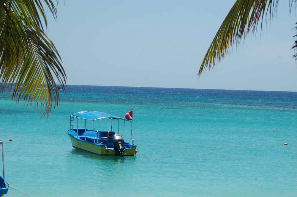 Bananarama Dive & Beach Resort ロアタン Honduras thumbnail